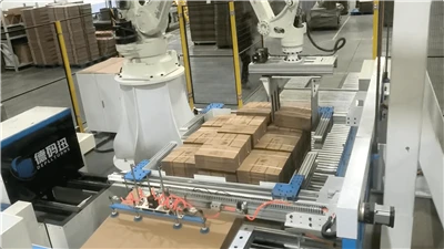 Automatic Robotic Palletizer Automatic Robotic Palletizer